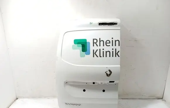 Renault Kangoo III Back/rear loading door 901015531R