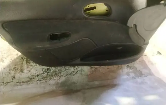 Peugeot 206 Front door card panel trim