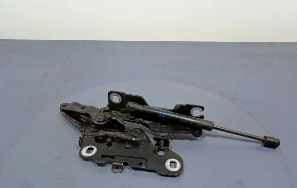 BMW X4 F26 Engine bonnet/hood hinges 7397499