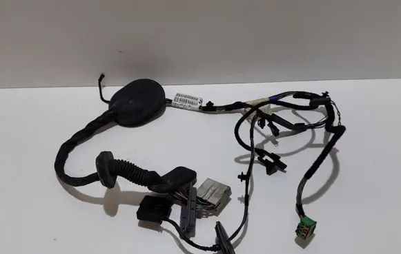 Rear door wiring loom