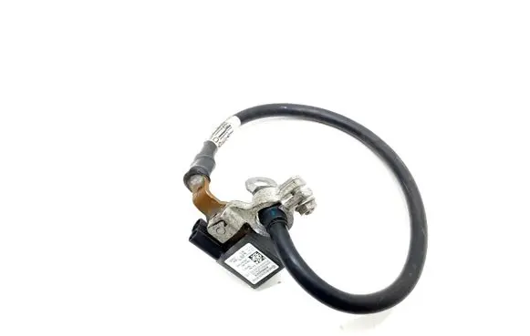 Mercedes-Benz E W212 Negative earth cable (battery) A1665420418