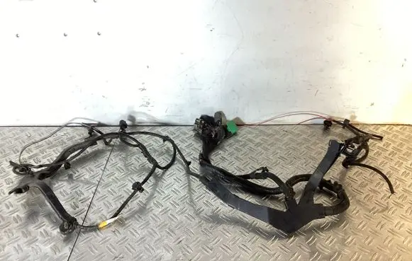 Tesla Model S Other wiring loom 100443006S
