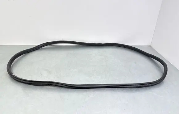BMW 3 G20 G21 Front door rubber seal 7407373