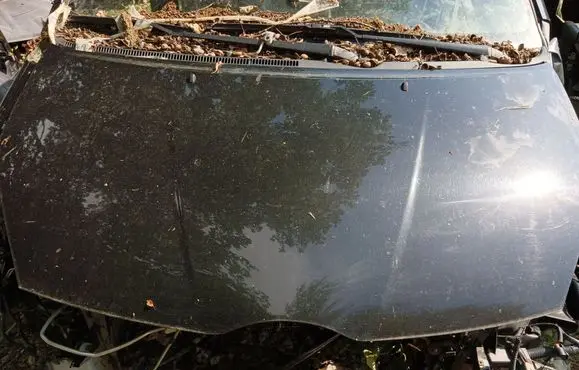 Toyota Corolla Verso AR10 Engine bonnet/hood 