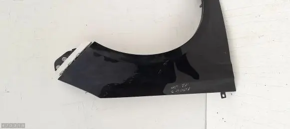 Ford Focus Fender