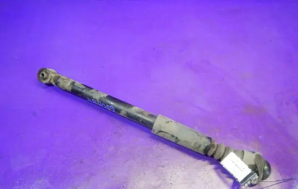 Skoda Praktik (5J8) Rear shock absorber/damper