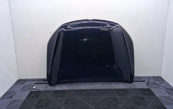 Volkswagen PASSAT CC Engine bonnet/hood 