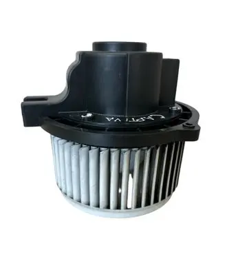 Chevrolet Captiva Heater fan/blower 615981L 7G18