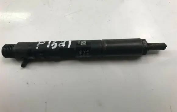 Renault Kangoo II Fuel injector 28237259 P1521