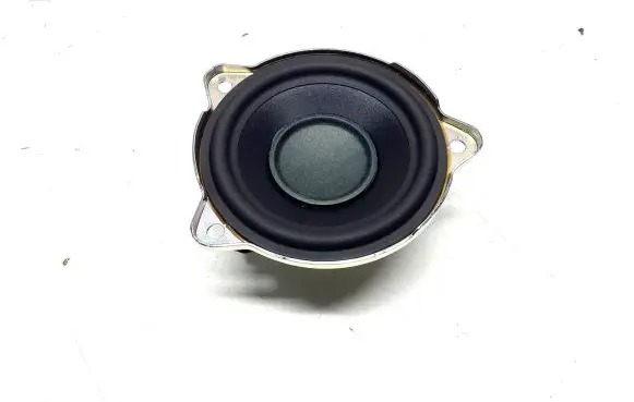 Front door high frequency speaker