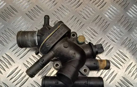 Thermostat/thermostat housing