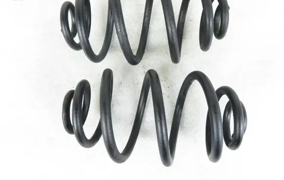 Volkswagen PASSAT B5.5 Rear coil spring