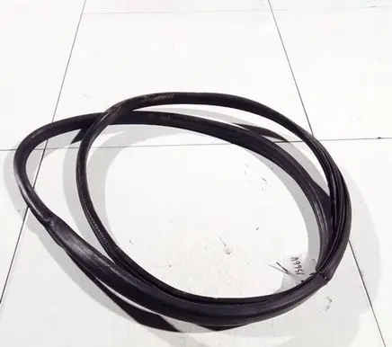 Renault Megane III Rubber seal front coupe door 