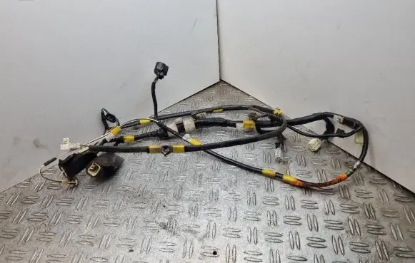 Toyota Land Cruiser (J100) Tailgate/trunk wiring harness 8218860051C 8218860051