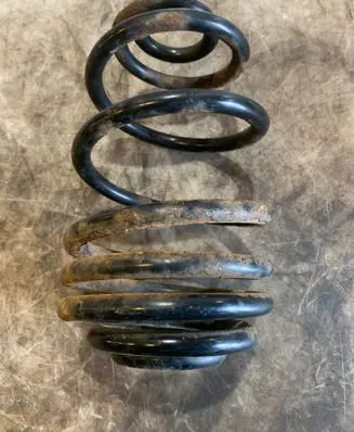 Rear coil spring