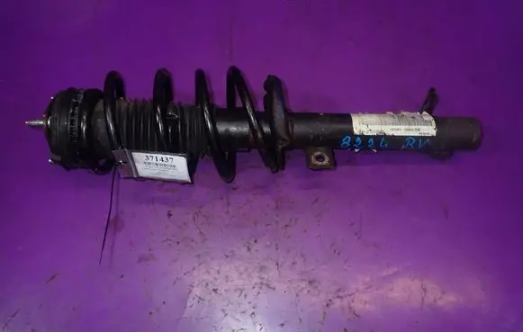Ford Fiesta Front shock absorber with coil spring