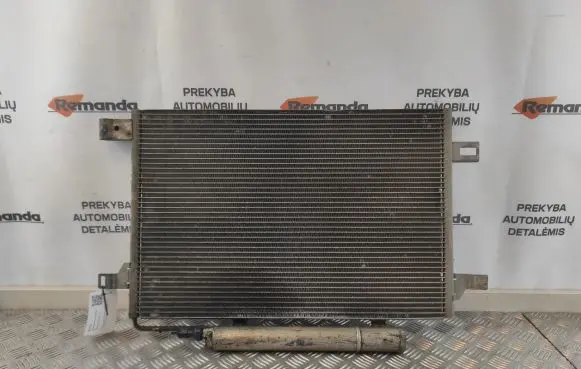 Mercedes-Benz A W169 A/C cooling radiator (condenser) 1695000354