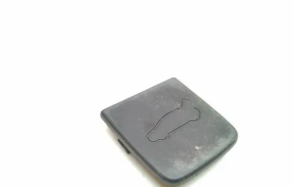 Tesla Model X Tailgate emergency lock open trim 105320600D