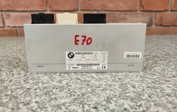 BMW X5 E70 Tailgate/trunk control unit/module 7317419