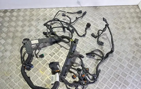 Engine installation wiring loom