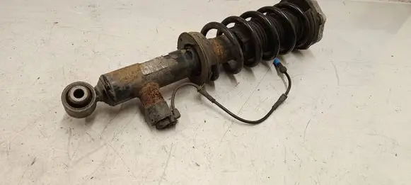 Rear shock absorber/damper