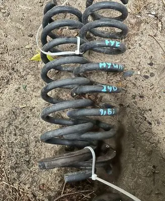 Rear coil spring