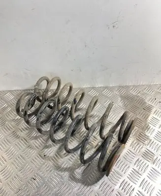 Volkswagen PASSAT B6 Rear coil spring