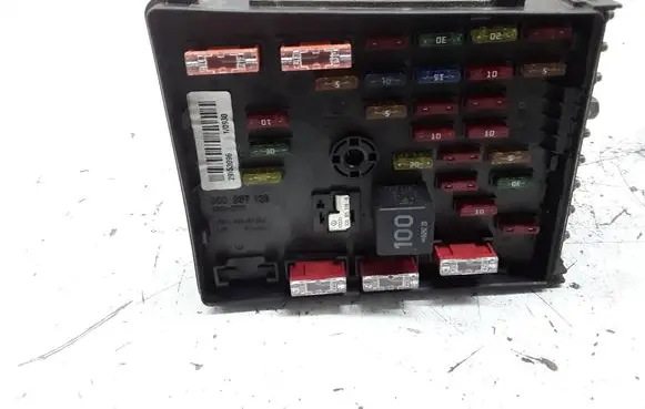 Volkswagen PASSAT B6 Fuse module 3C0937125