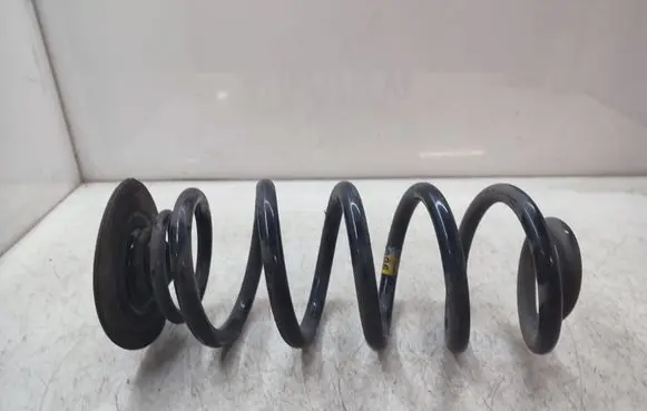 BMW X6 E71 Rear coil spring