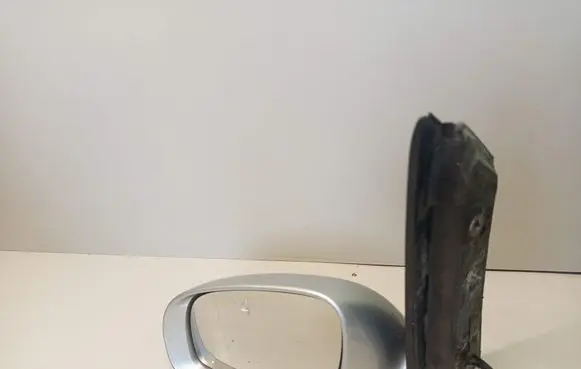 Front door electric wing mirror