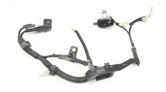 Positive wiring loom