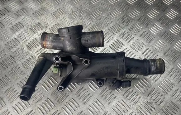 Thermostat/thermostat housing