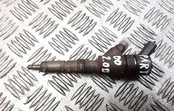 Peugeot Partner Fuel injector 0445110076 9641742880