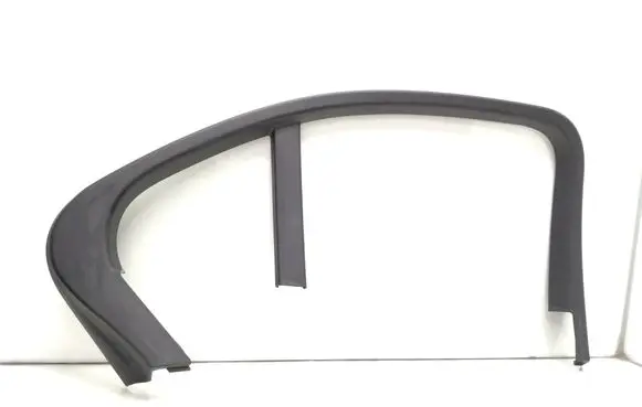 Rear door glass trim molding
