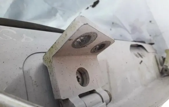 Citroen Xsara Rear door lower hinge