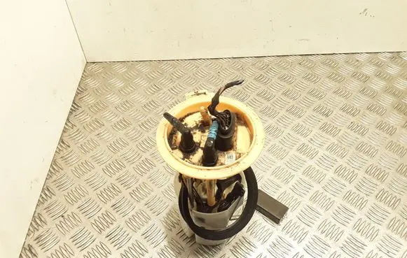 Seat Altea XL In-tank fuel pump 1K0919050AB