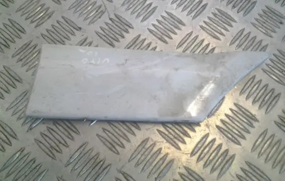 Fender trim (molding)