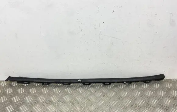 Rear door glass trim molding