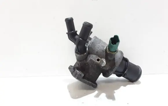 Thermostat/thermostat housing