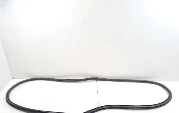 Opel Insignia B Front door rubber seal