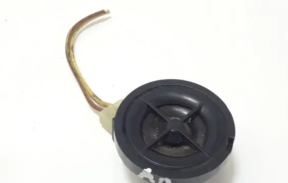 Front door high frequency speaker