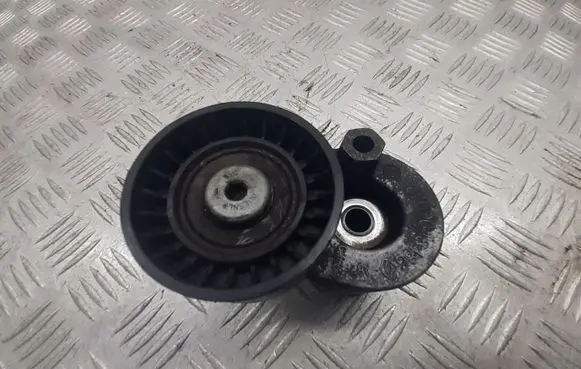 Renault Kangoo I Alternator belt tensioner pulley 8200048486