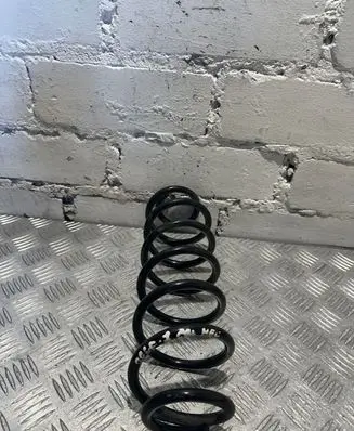 Rear coil spring