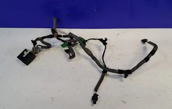 Other wiring loom