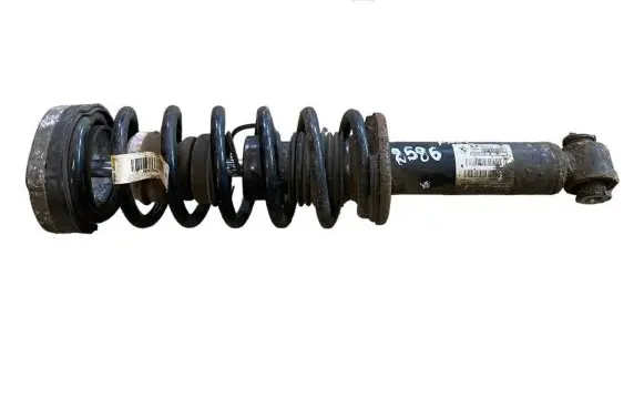 BMW X3 F25 Rear shock absorber with coil spring 6796422 33526796422 101707