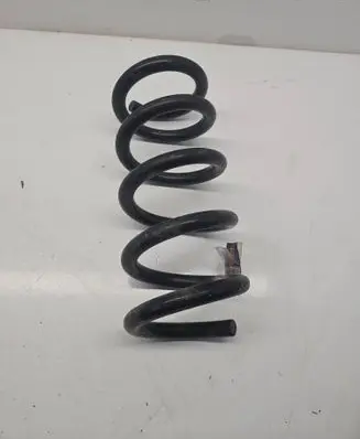 Rear coil spring