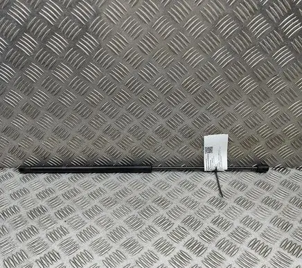 Toyota Camry VIII XV70 Front bonnet/hood damper/strut 5345006170