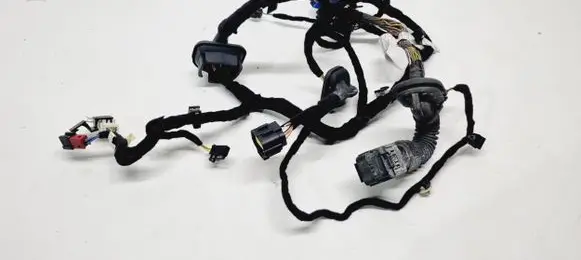 Alfa Romeo Giulia Front door wiring loom 50548502