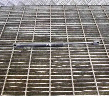 Front bonnet/hood damper/strut