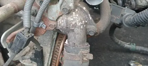 Honda Civic Engine coolant pipe/hose